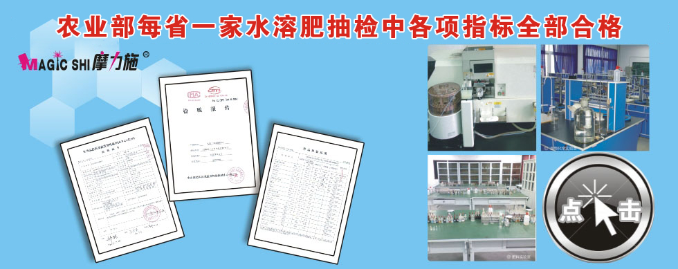 大量元素水溶肥料檢驗(yàn)報(bào)告單